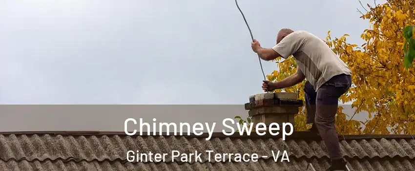 Chimney Sweep Ginter Park Terrace - VA