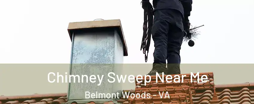 Chimney Sweep Near Me Belmont Woods - VA