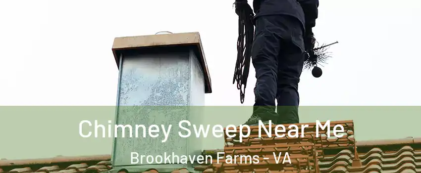 Chimney Sweep Near Me Brookhaven Farms - VA