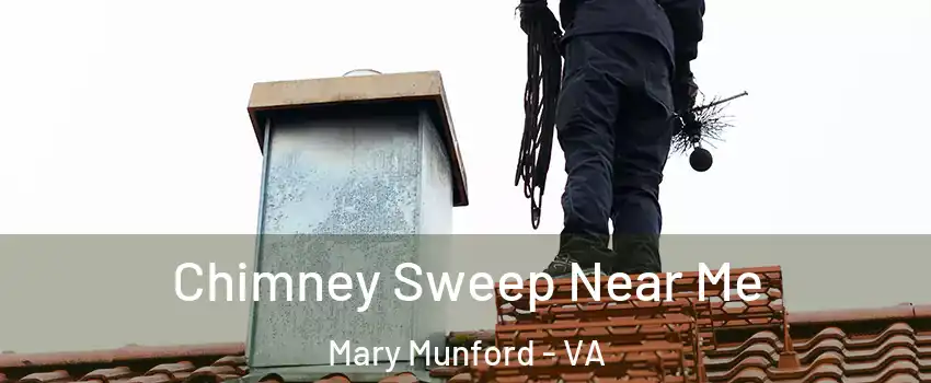 Chimney Sweep Near Me Mary Munford - VA