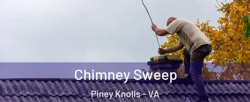 Chimney Sweep Piney Knolls - VA