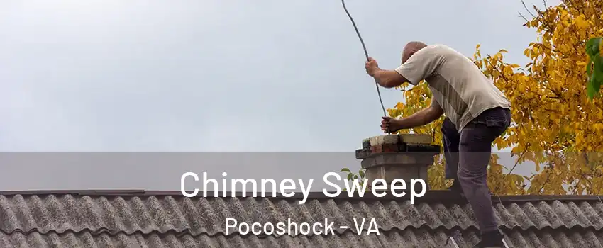 Chimney Sweep Pocoshock - VA