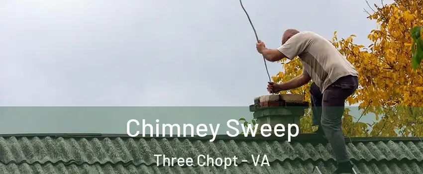 Chimney Sweep Three Chopt - VA