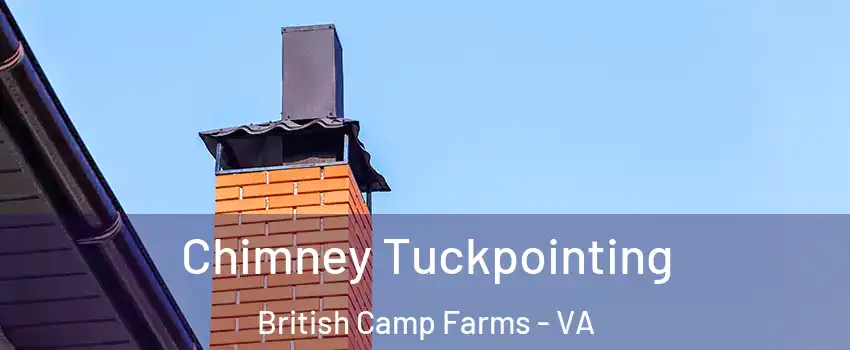 Chimney Tuckpointing British Camp Farms - VA