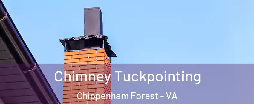 Chimney Tuckpointing Chippenham Forest - VA