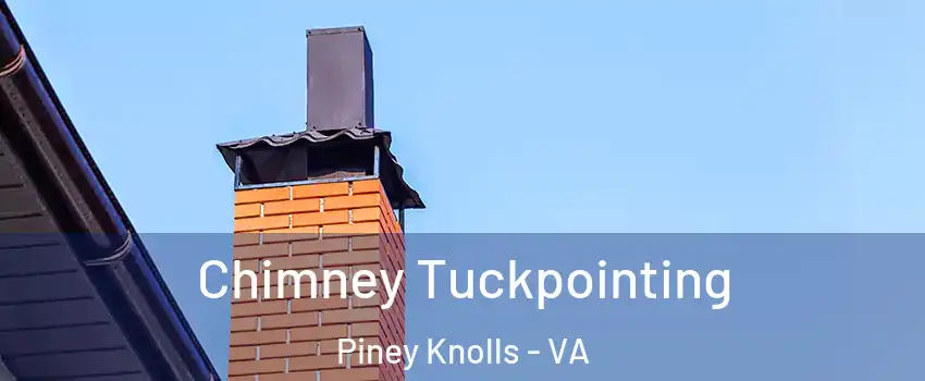 Chimney Tuckpointing Piney Knolls - VA