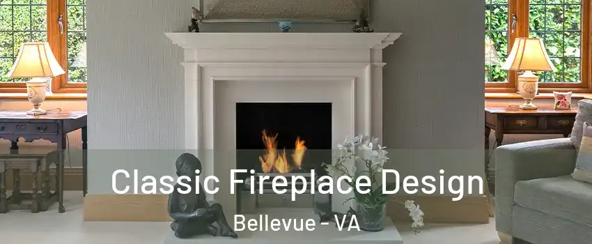 Classic Fireplace Design Bellevue - VA