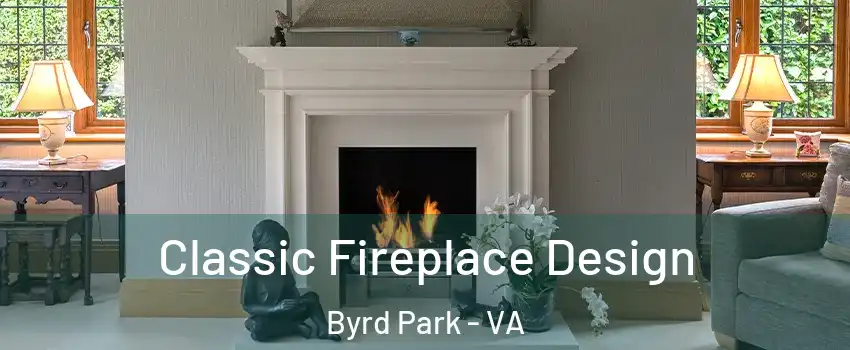 Classic Fireplace Design Byrd Park - VA