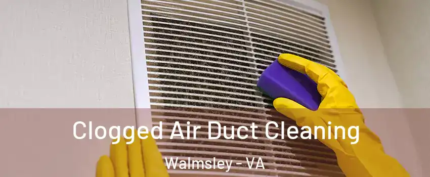 Clogged Air Duct Cleaning Walmsley - VA