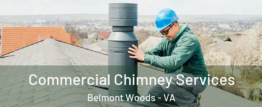 Commercial Chimney Services Belmont Woods - VA