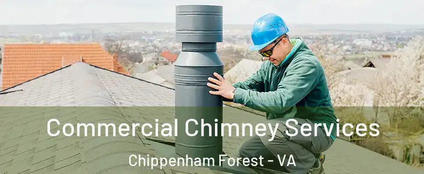 Commercial Chimney Services Chippenham Forest - VA