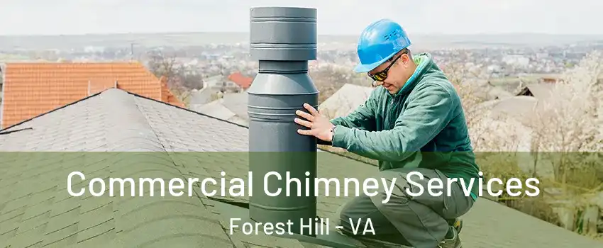 Commercial Chimney Services Forest Hill - VA