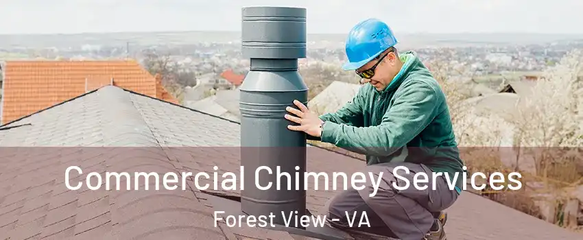 Commercial Chimney Services Forest View - VA