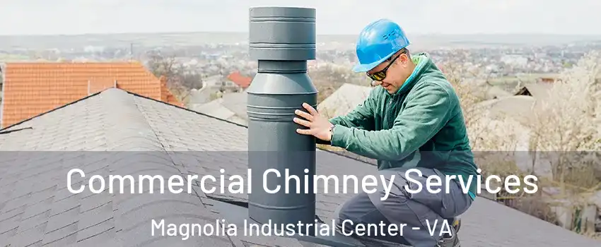 Commercial Chimney Services Magnolia Industrial Center - VA