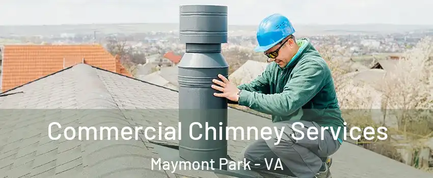 Commercial Chimney Services Maymont Park - VA