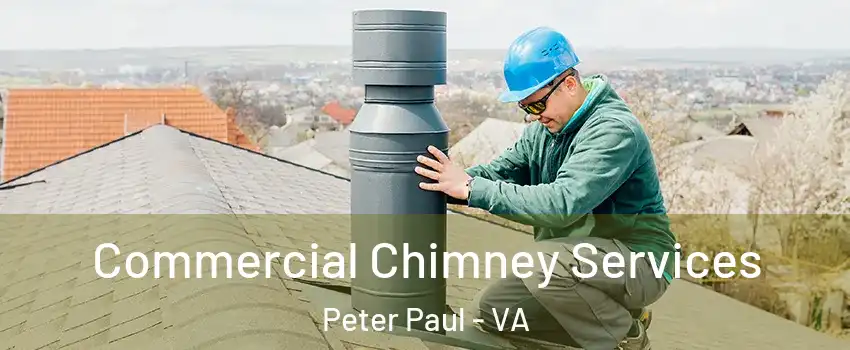 Commercial Chimney Services Peter Paul - VA