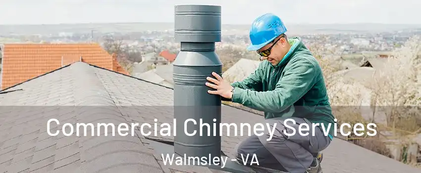 Commercial Chimney Services Walmsley - VA