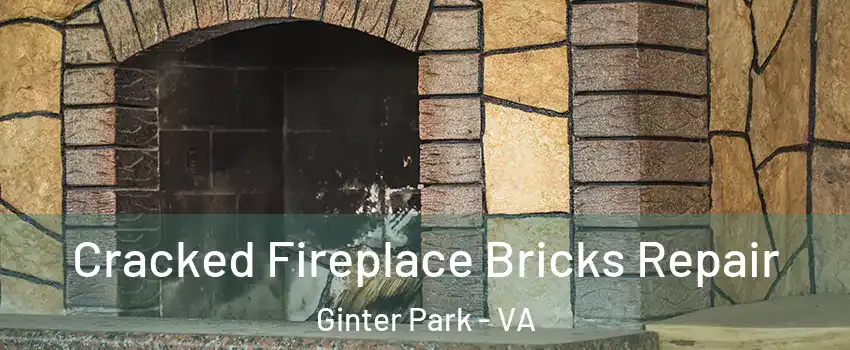 Cracked Fireplace Bricks Repair Ginter Park - VA