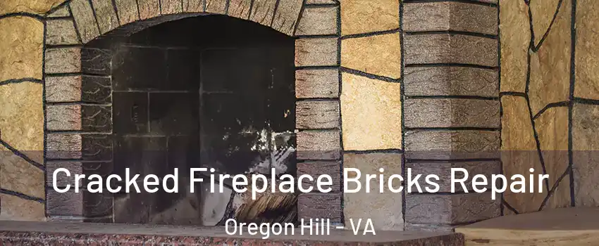 Cracked Fireplace Bricks Repair Oregon Hill - VA