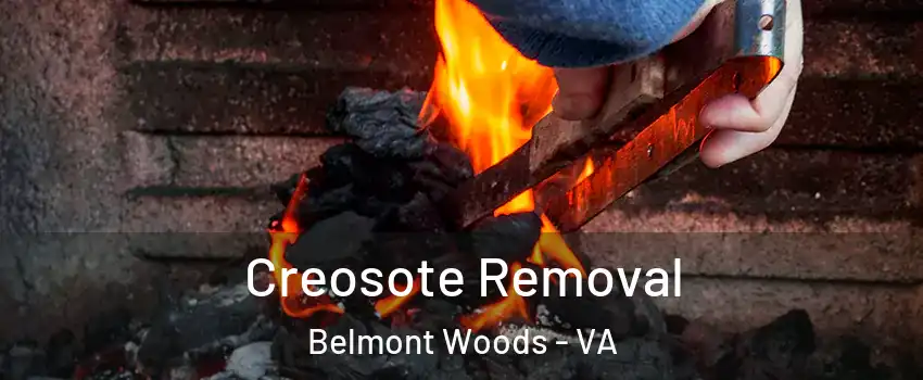 Creosote Removal Belmont Woods - VA