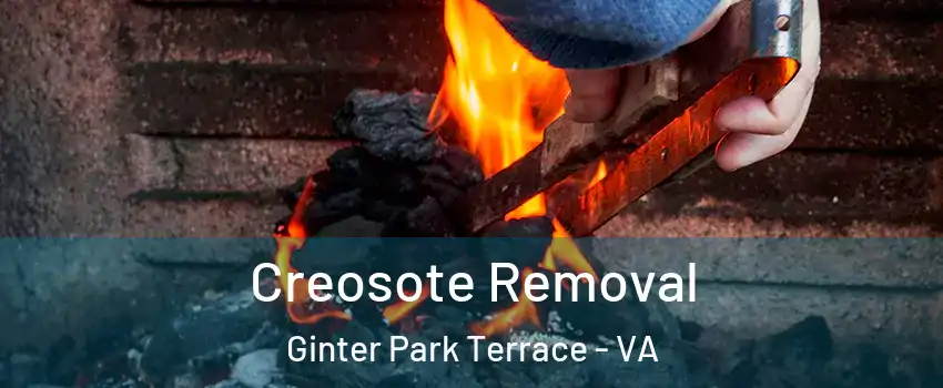 Creosote Removal Ginter Park Terrace - VA