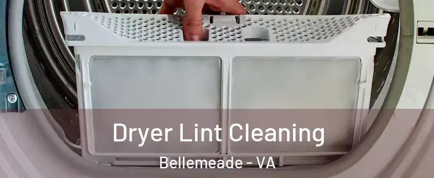 Dryer Lint Cleaning Bellemeade - VA