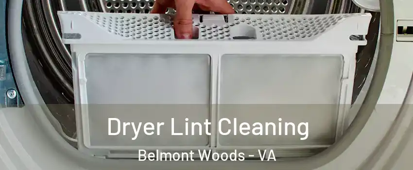 Dryer Lint Cleaning Belmont Woods - VA