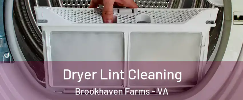 Dryer Lint Cleaning Brookhaven Farms - VA