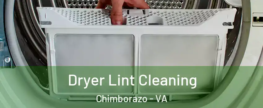 Dryer Lint Cleaning Chimborazo - VA