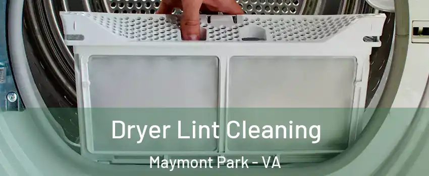 Dryer Lint Cleaning Maymont Park - VA