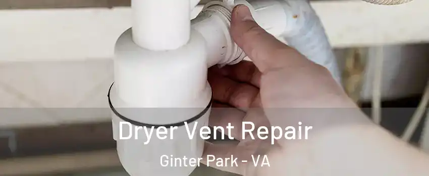 Dryer Vent Repair Ginter Park - VA