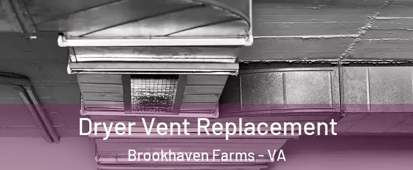 Dryer Vent Replacement Brookhaven Farms - VA