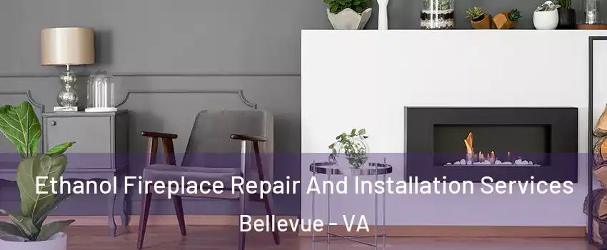 Ethanol Fireplace Repair And Installation Services Bellevue - VA