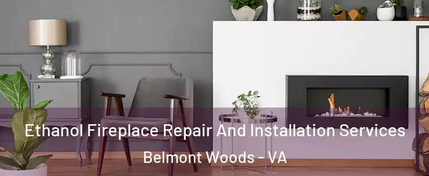 Ethanol Fireplace Repair And Installation Services Belmont Woods - VA