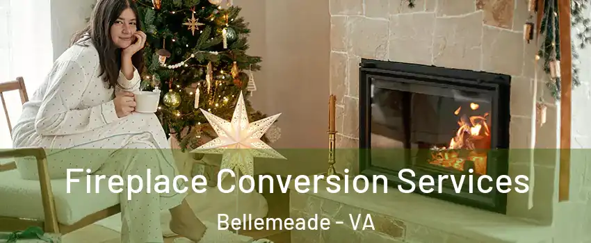 Fireplace Conversion Services Bellemeade - VA