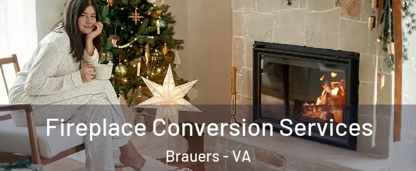 Fireplace Conversion Services Brauers - VA