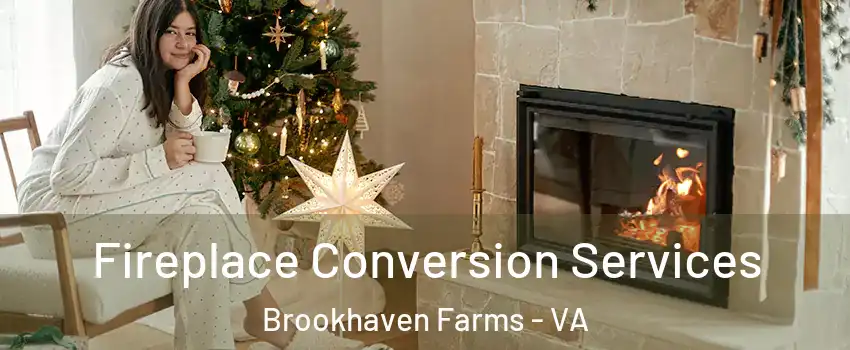 Fireplace Conversion Services Brookhaven Farms - VA