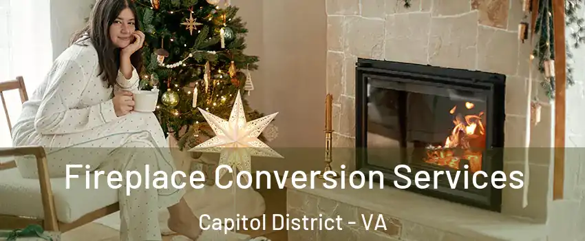 Fireplace Conversion Services Capitol District - VA