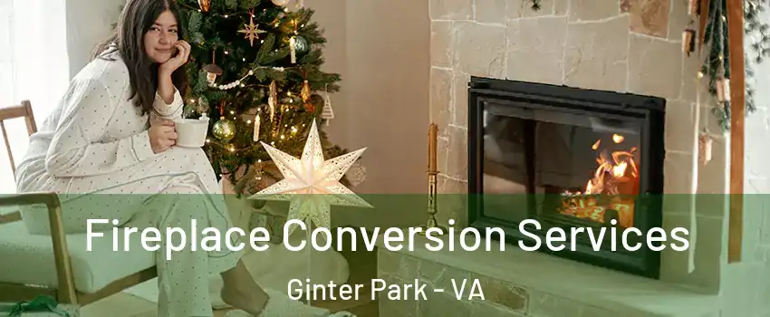 Fireplace Conversion Services Ginter Park - VA