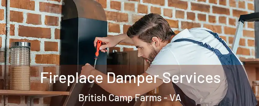 Fireplace Damper Services British Camp Farms - VA