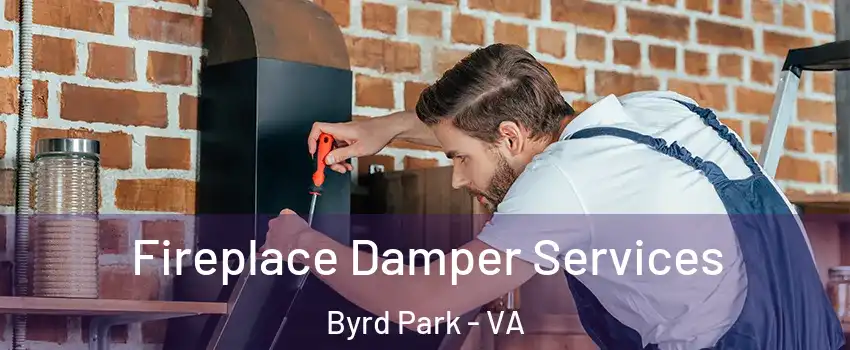 Fireplace Damper Services Byrd Park - VA