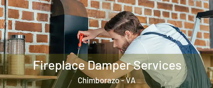 Fireplace Damper Services Chimborazo - VA