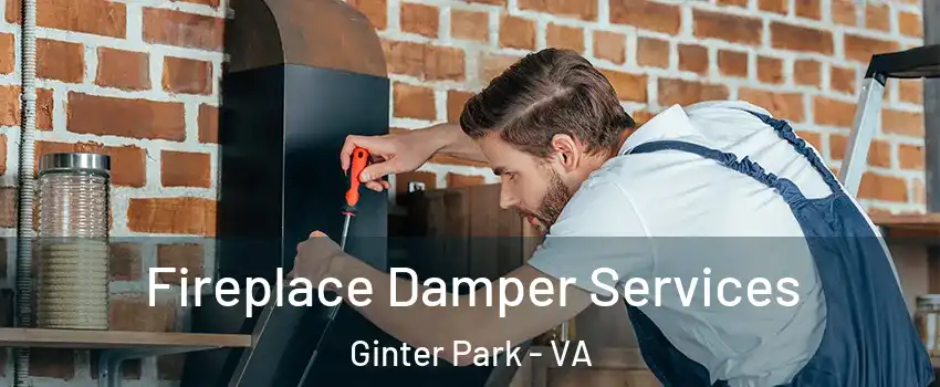 Fireplace Damper Services Ginter Park - VA