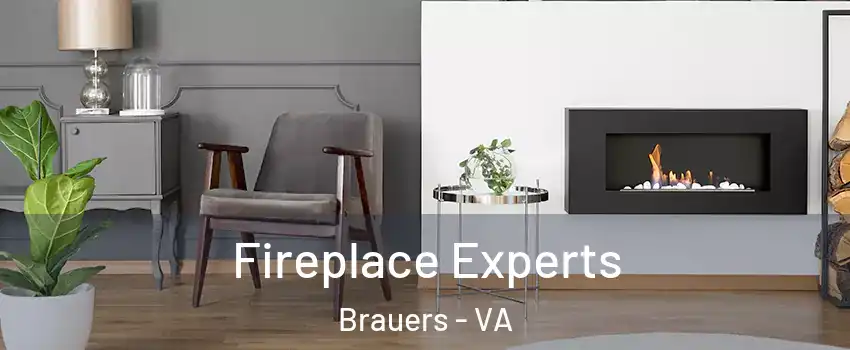 Fireplace Experts Brauers - VA