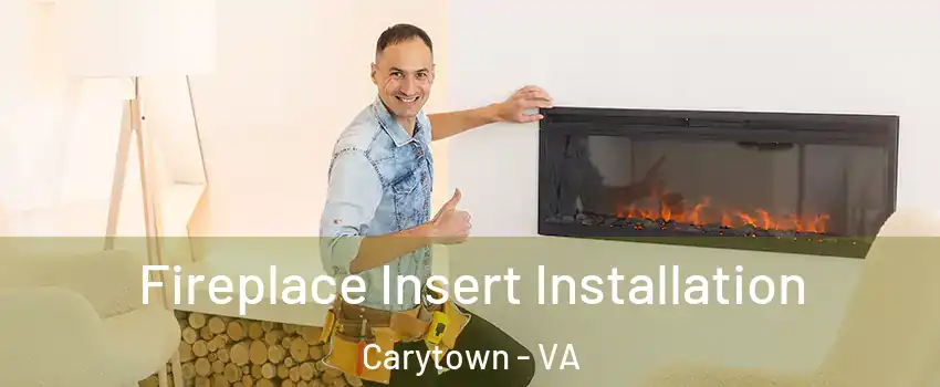 Fireplace Insert Installation Carytown - VA