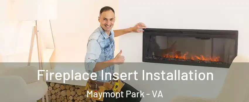 Fireplace Insert Installation Maymont Park - VA