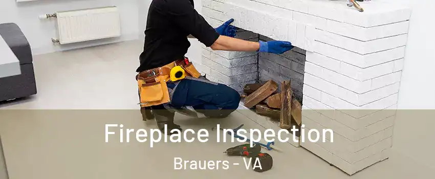 Fireplace Inspection Brauers - VA