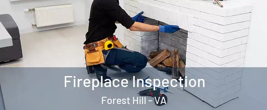 Fireplace Inspection Forest Hill - VA