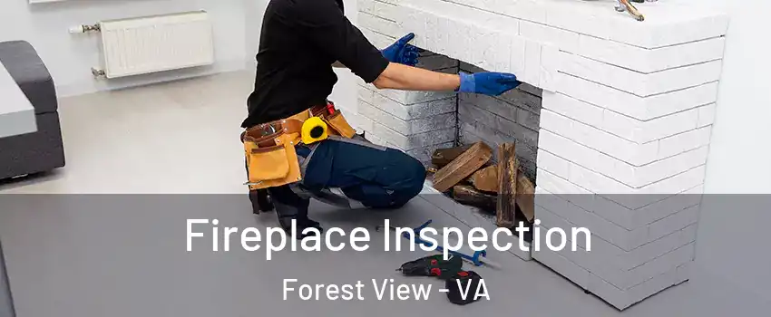 Fireplace Inspection Forest View - VA