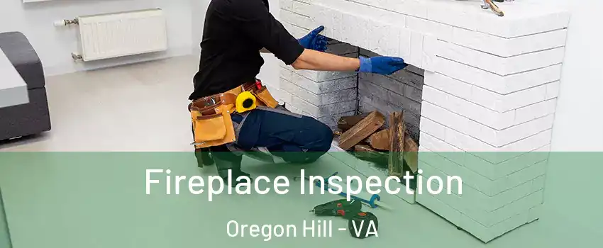 Fireplace Inspection Oregon Hill - VA